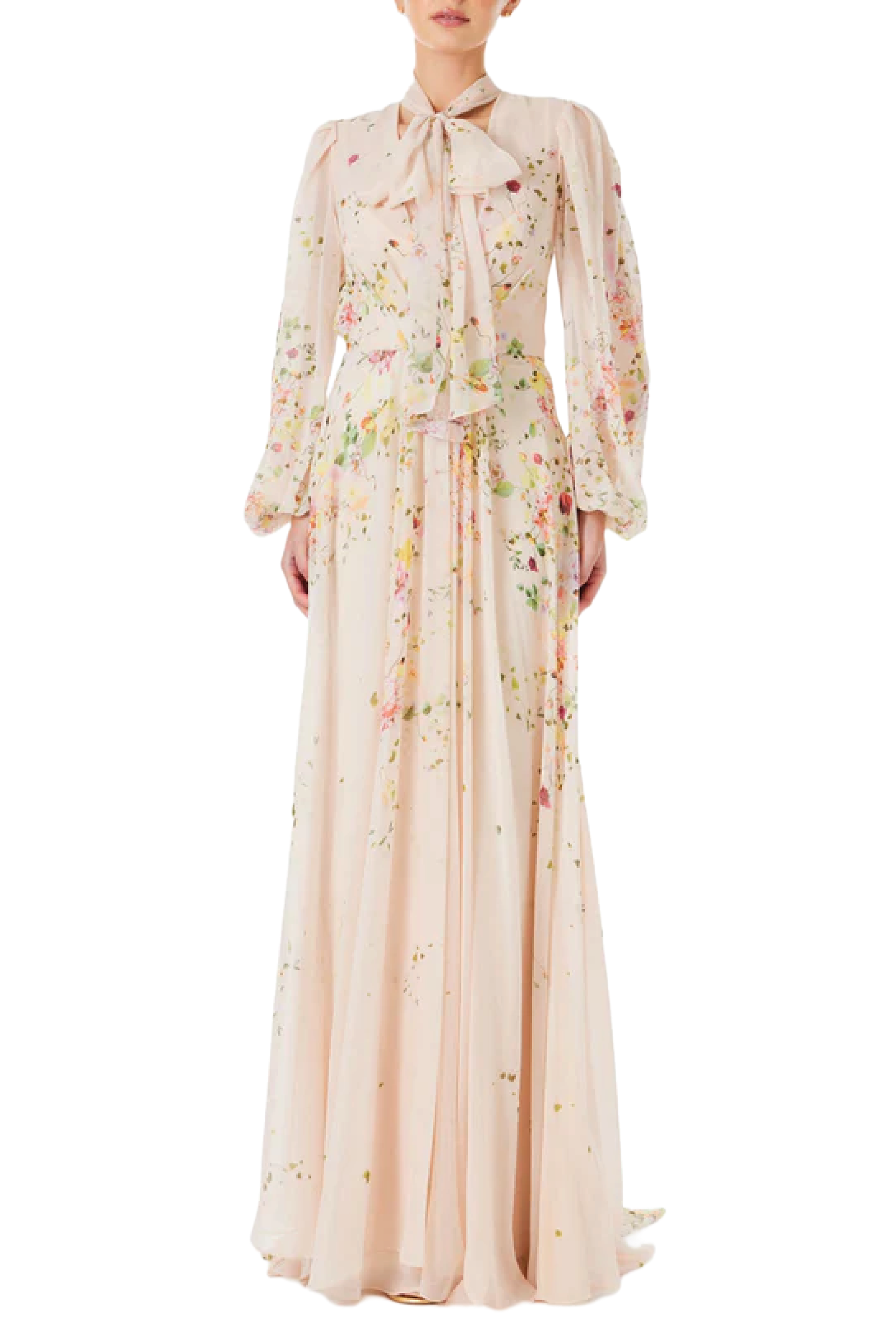 Floral Chiffon Long Sleeve Gown