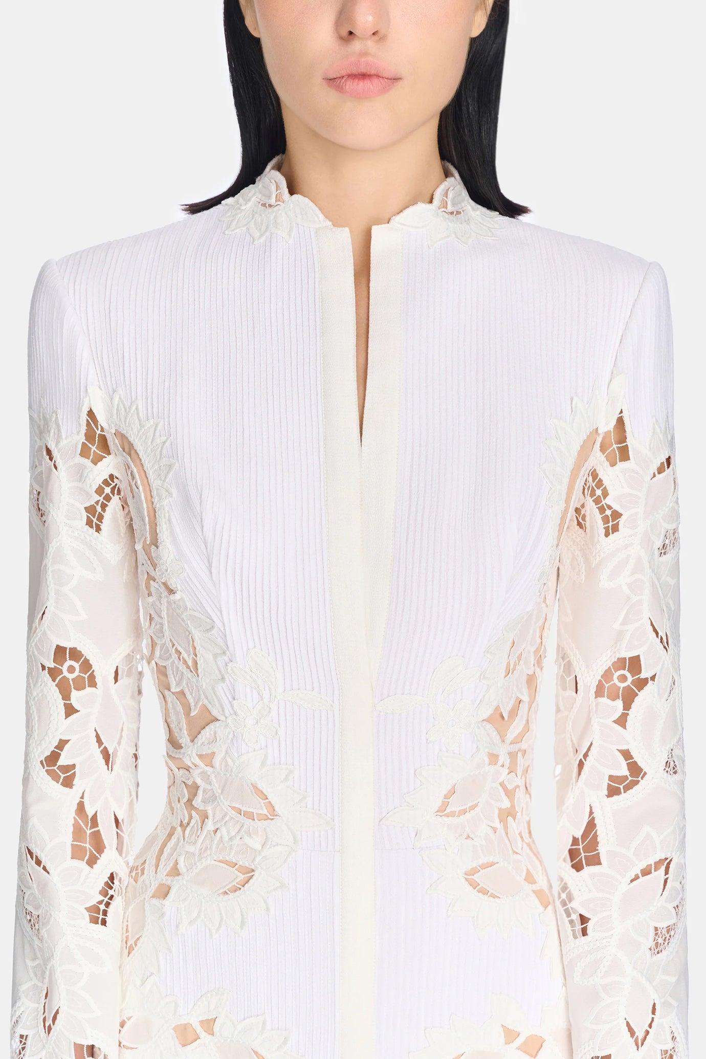 Lace Embroidered Dress