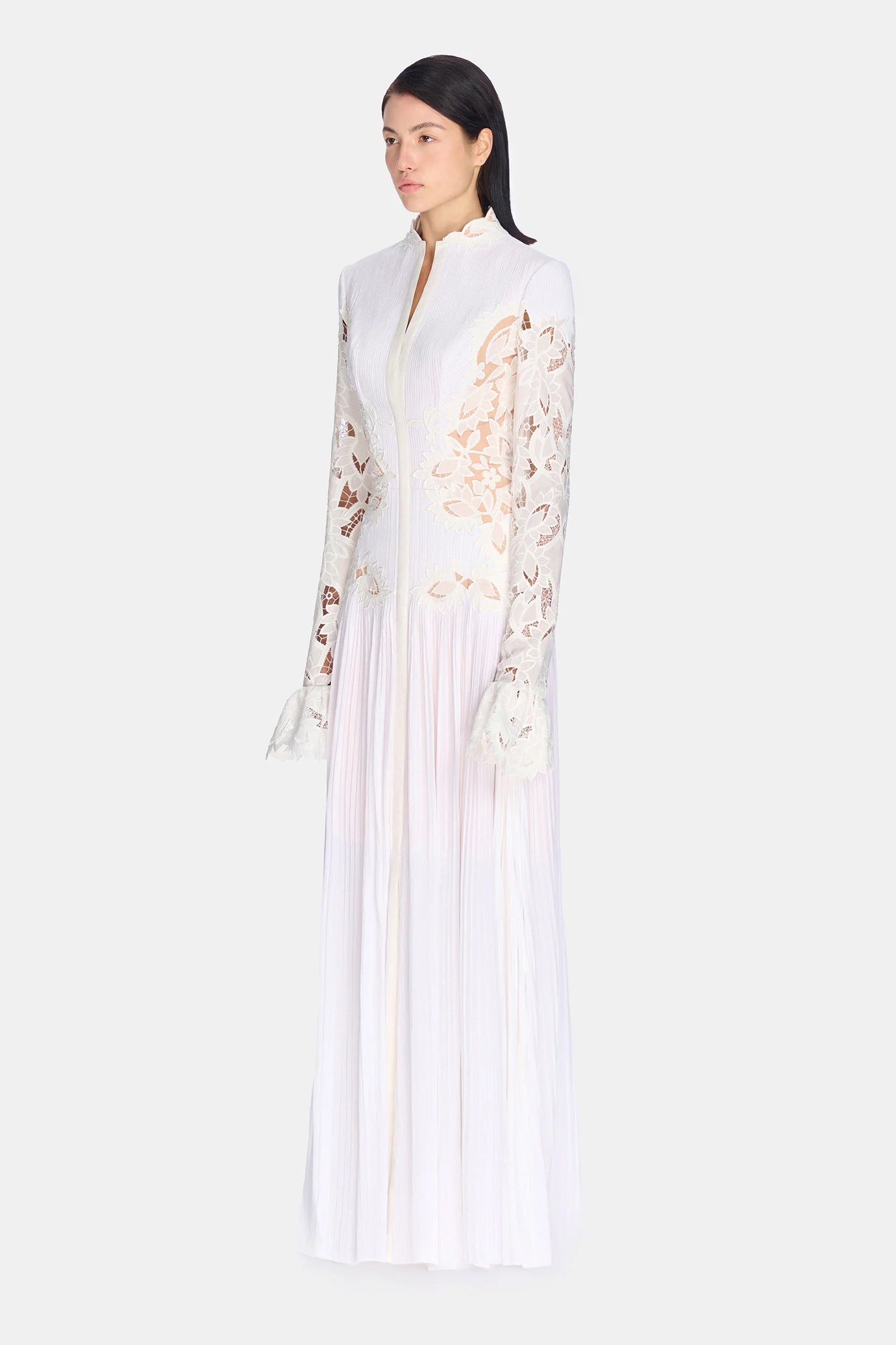 Lace Embroidered Dress
