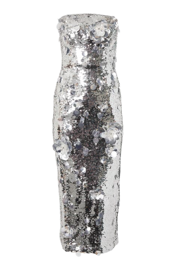 Strapless Embellished Sequin Dress