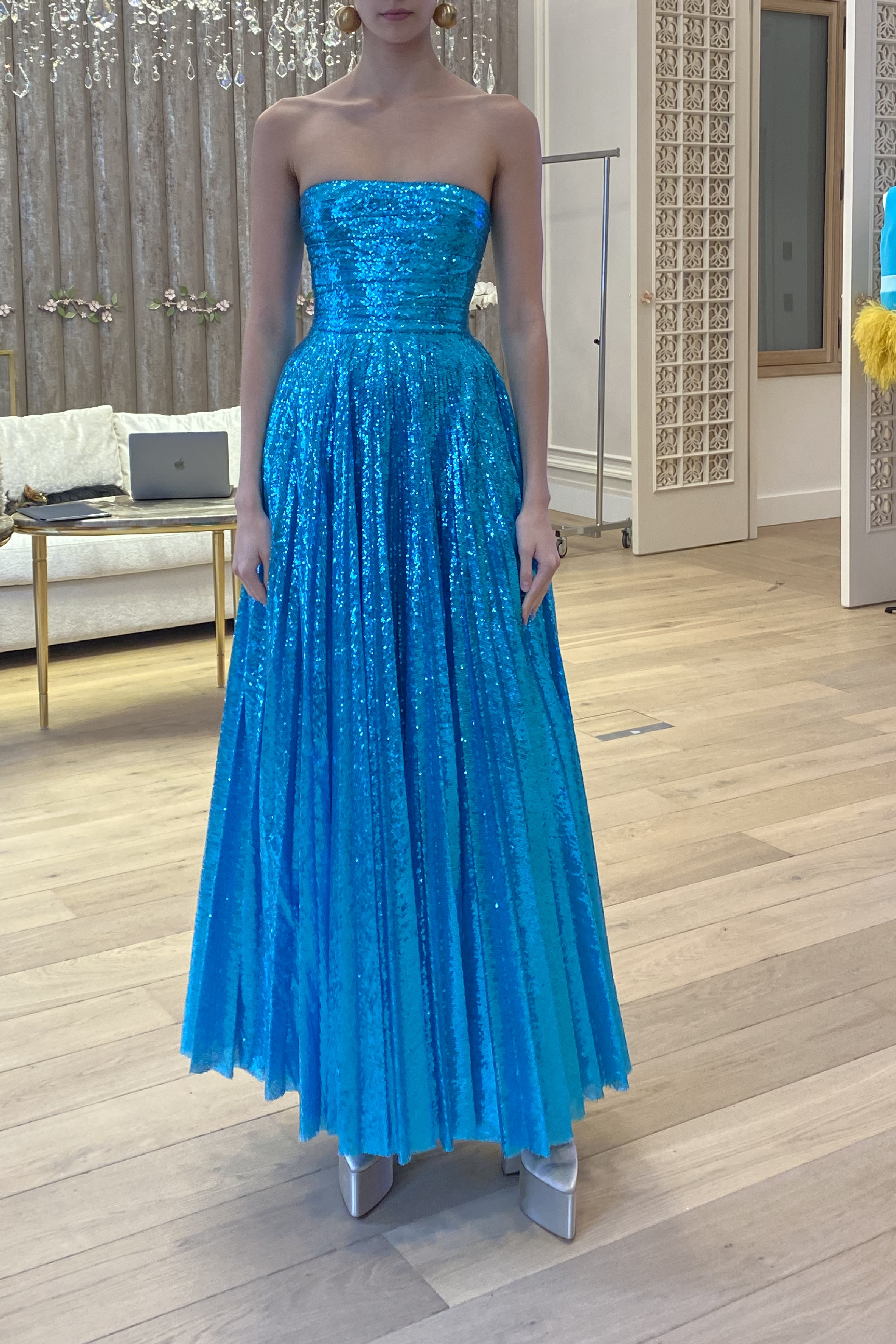 Sequin Pleated Dress and Cape