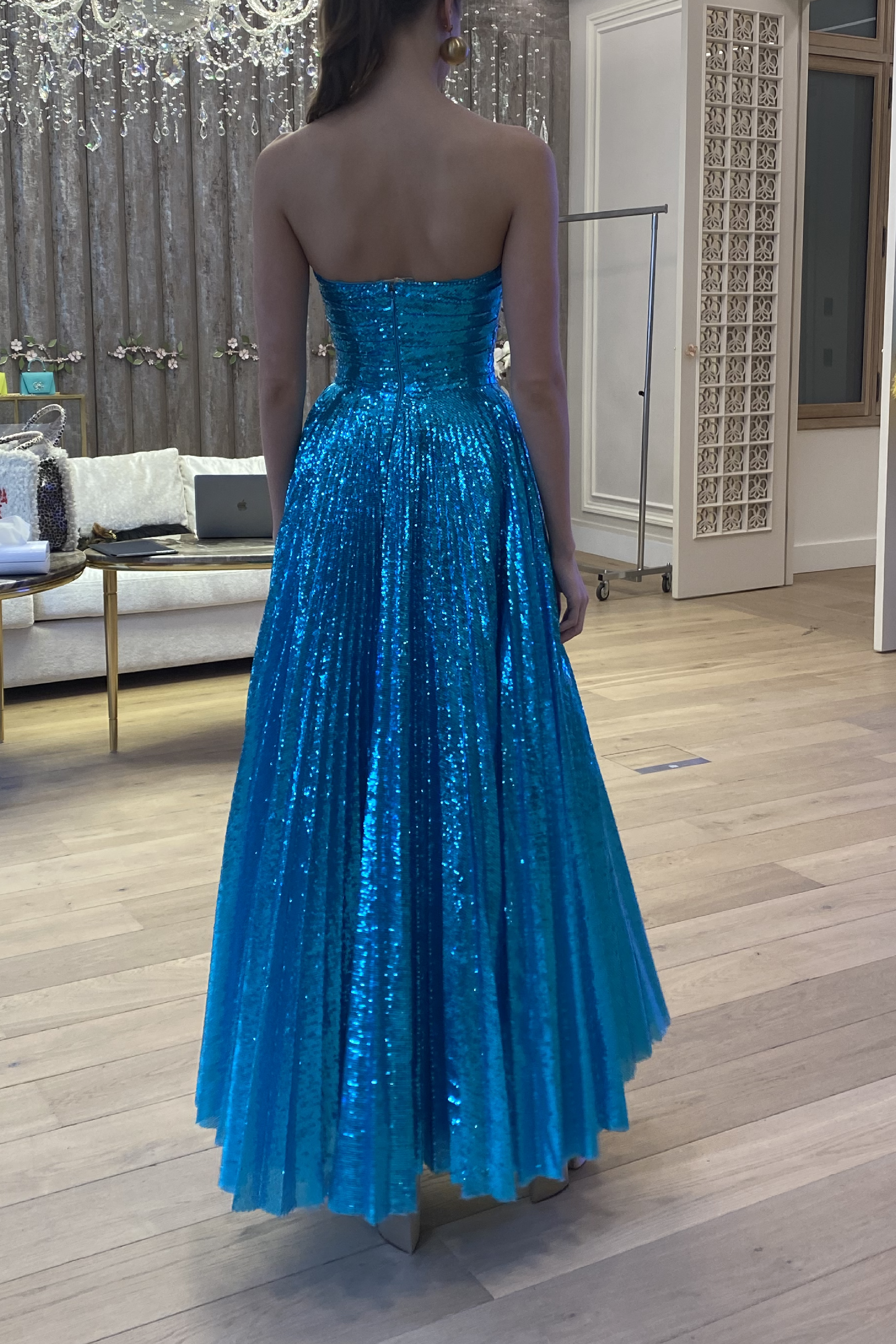 Sequin Pleated Dress and Cape