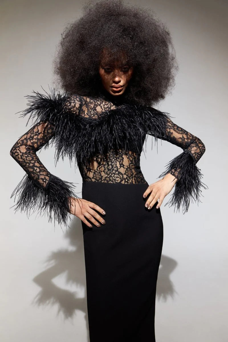 Asymmetric Feather Lace and Crepe Dress