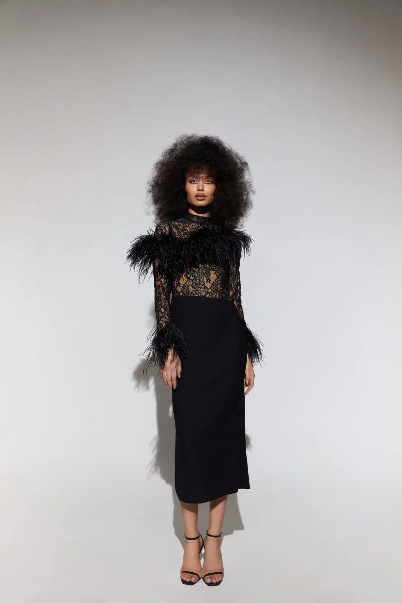 Asymmetric Feather Lace and Crepe Dress